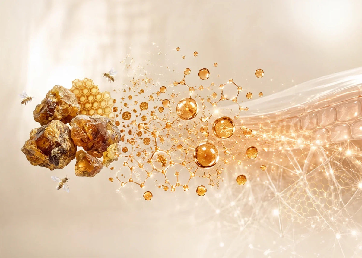 Propolis Nedir? Cilde Faydaları ve Mikro Kanal Teknolojisi™