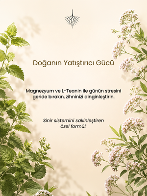 Shayen Paris Night Complex™ | Magnezyum Bisglisinat + L-Teanin + Vitamin B6 (P5P) + Valerian & Melisa Ekstreli Premium Takviye Edici Gıda | 30 Kapsül