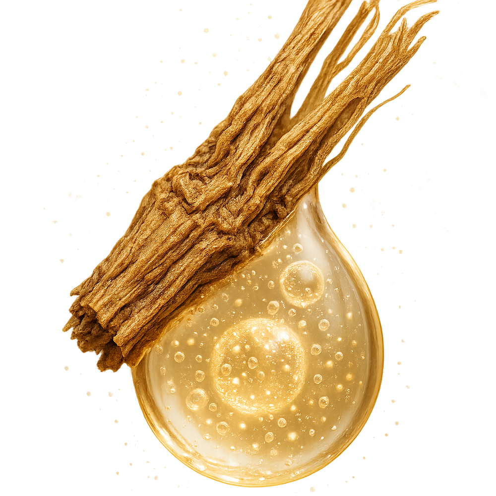 Aspergillus Angelica Tenuissima Root Ferment Extract