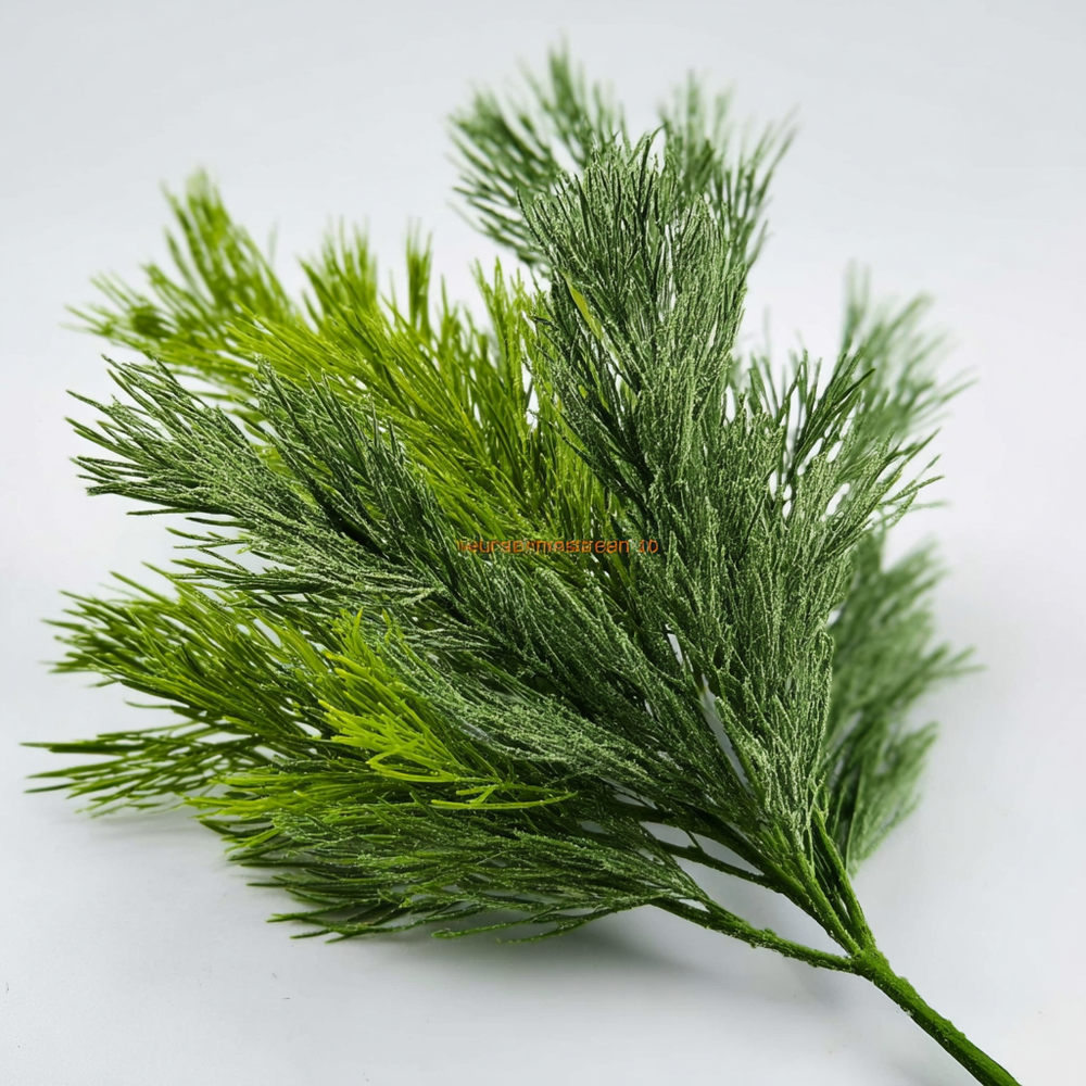 Pinus Densiflora Leaf Extract