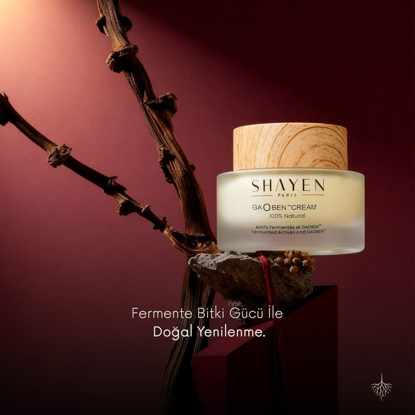 Shayen Paris Gaoben Cream