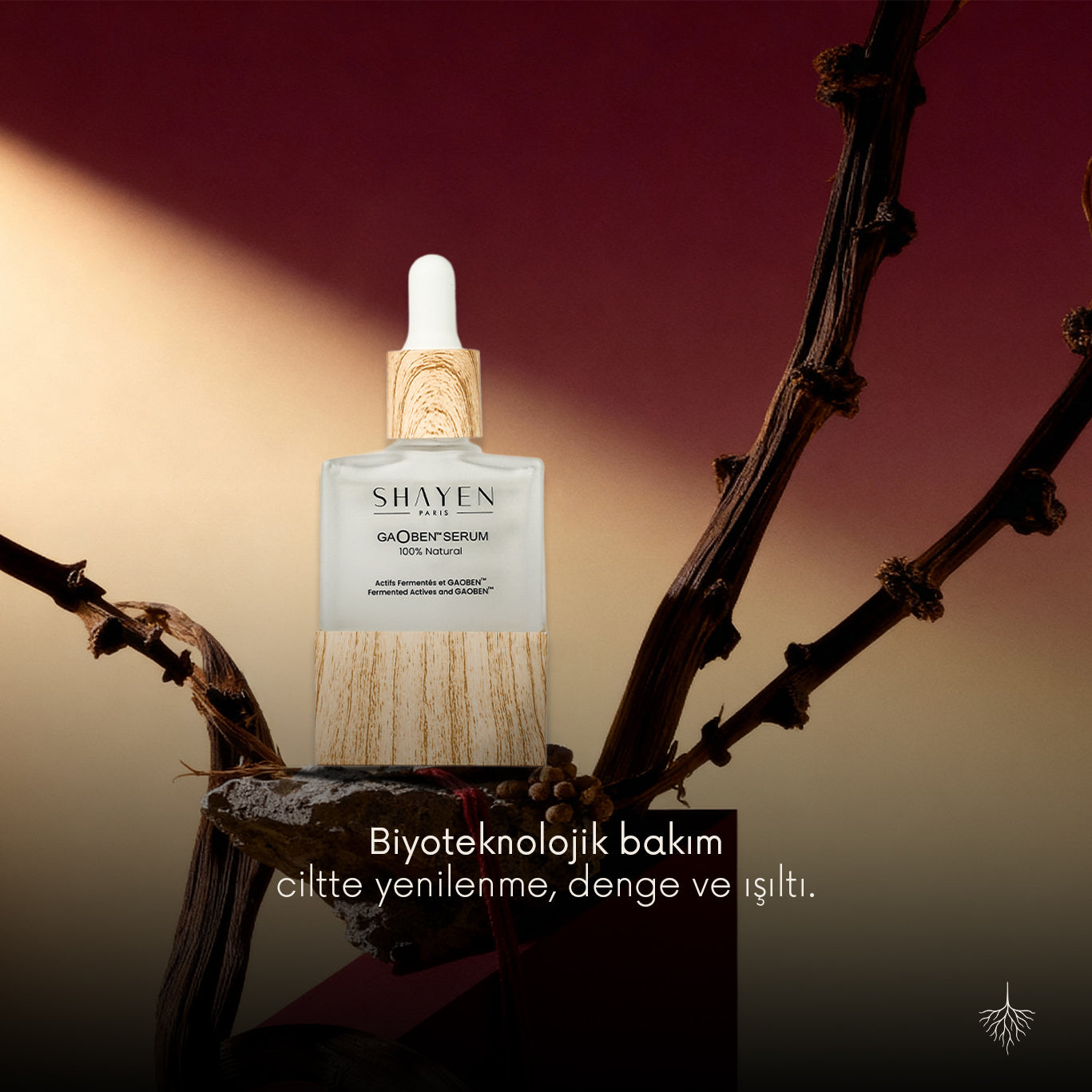 Shayen Paris Gaoben Serum